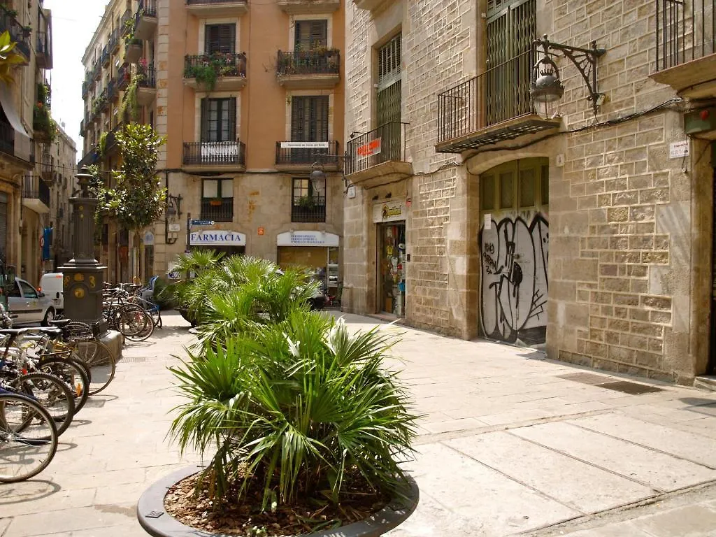 Hostal Nitzs Bcn Barcellona 0*,  Spagna